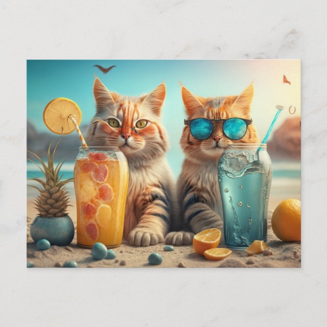 Ferienkatzen Postkarte (Vorderseite)