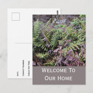 Ferienwohnungs-Gast Willkommen Hütte Farne Postkarte