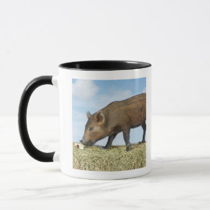 Ferkel-Essen Tasse