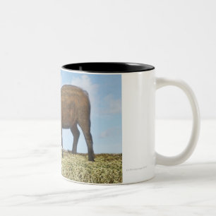 Ferkel-Essen Zweifarbige Tasse