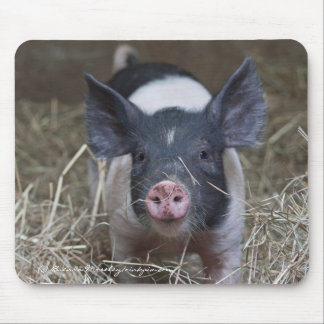 Ferkel im Stroh Mousepad