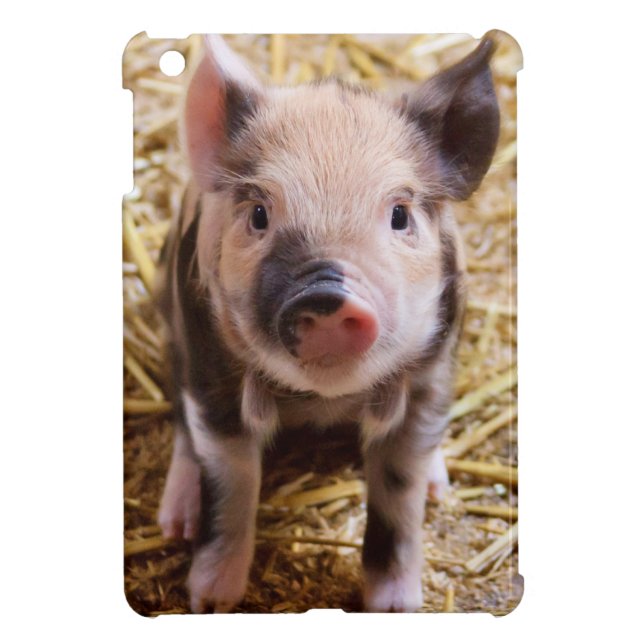 Ferkel iPad Mini Hülle (Hinten)
