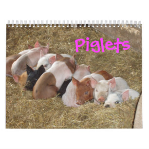 Ferkel-Kalender Kalender