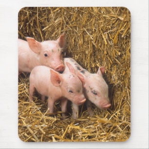 Ferkel Mousepad