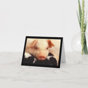Ferkel-Schwein-entzückende Gesichts-Schnauze Karte