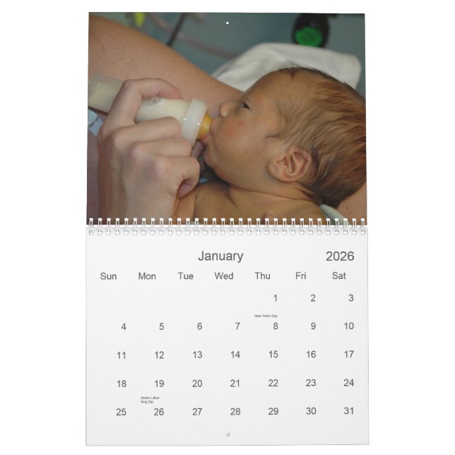 Ferkelwurf-Familien-Kalender - 2008 Kalender (Jan 2026)