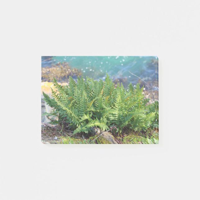Fern am Meer Post-it Klebezettel (Vorderseite)