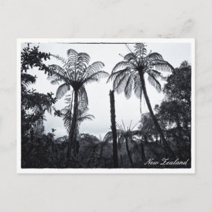 Fern-Baumwald, Natur, Neuseeland Postkarte