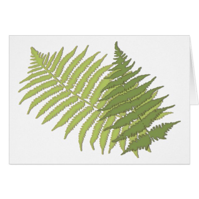 Fern-Blätter (Vorderseite (Horizontal))