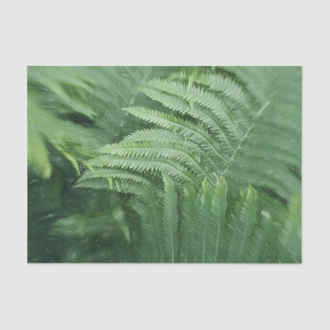 Fern Blätter Botanische Vegetation Seidenpapier (Vorderseite)