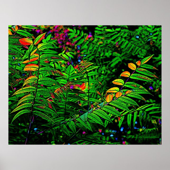 Fern-Blätter drucken Poster (Vorne)