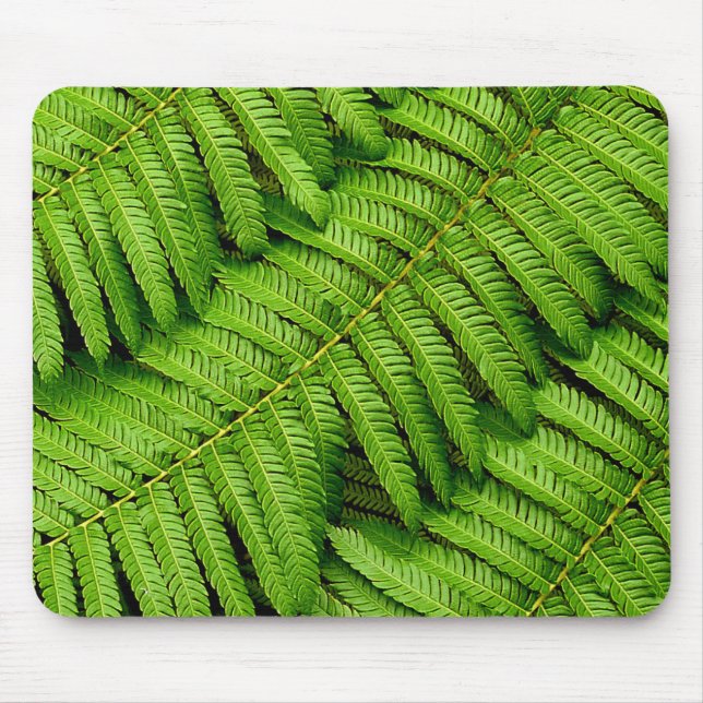 Fern-Blätter Mousepad (Vorne)