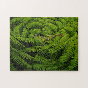 Fern-Blätter Puzzle