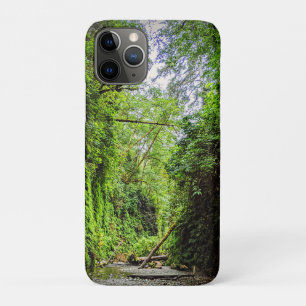 Fern Canyon Green Walls in Redwoods Nationalpark Case-Mate iPhone Hülle