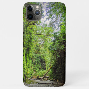 Fern Canyon Green Walls in Redwoods Nationalpark Case-Mate iPhone Hülle
