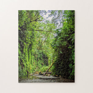 Fern Canyon Green Walls in Redwoods Nationalpark Puzzle