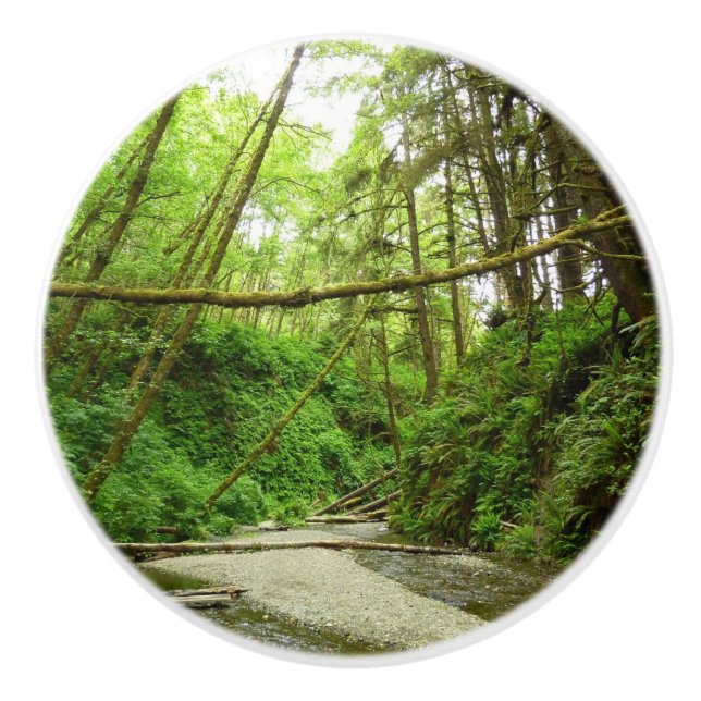 Fern Canyon I im Redwood National Park Keramikknauf (Vorderseite)