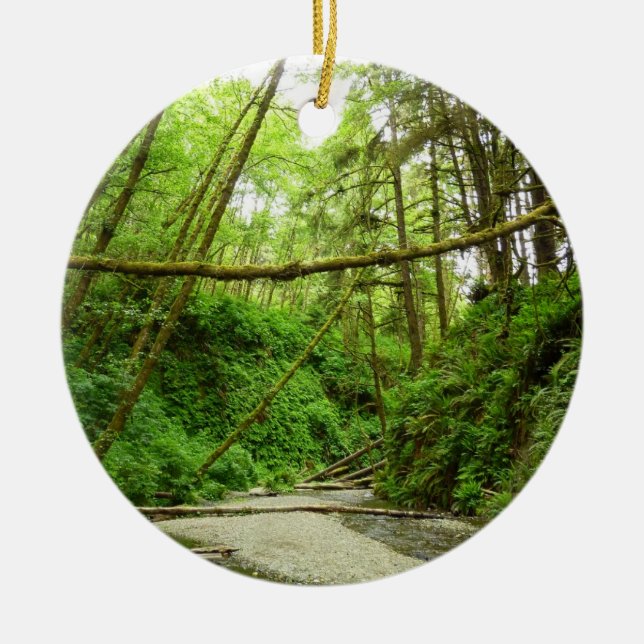 Fern Canyon I im Redwood National Park Keramikornament (Vorne)