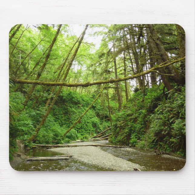 Fern Canyon I im Redwood National Park Mousepad (Vorne)