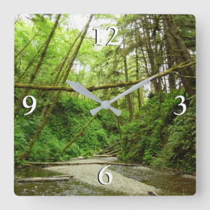 Fern Canyon I im Redwood National Park Quadratische Wanduhr