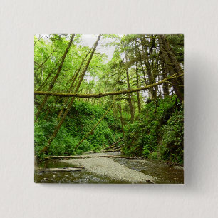 Fern Canyon I im Redwood-Nationalpark Button