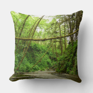 Fern Canyon I im Redwood-Nationalpark Kissen