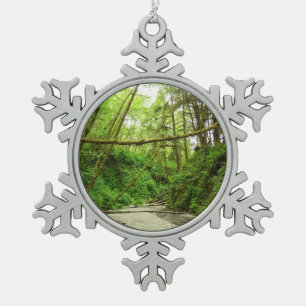 Fern Canyon I im Redwood-Nationalpark Schneeflocken Zinn-Ornament