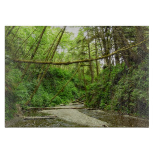 Fern Canyon I im Redwood-Nationalpark Schneidebrett