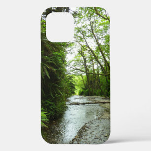 Fern Canyon II im Redwood-Nationalpark Case-Mate iPhone Hülle