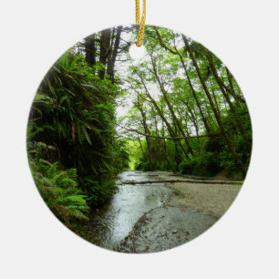 Fern Canyon II im Redwood-Nationalpark Keramikornament