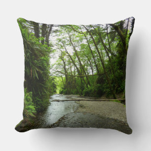 Fern Canyon II im Redwood-Nationalpark Kissen
