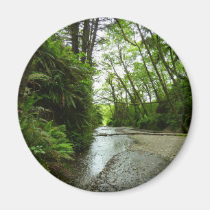 Fern Canyon II im Redwood-Nationalpark Magnet