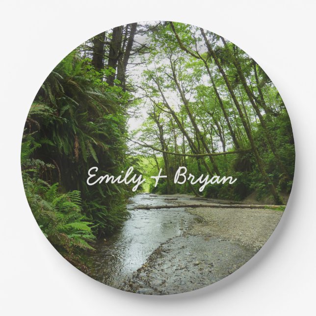 Fern Canyon II im Redwood-Nationalpark Pappteller (Vorderseite)