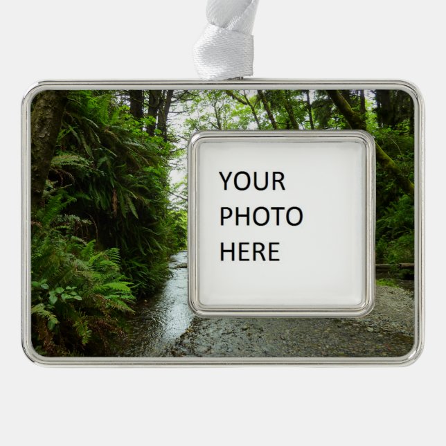 Fern Canyon II im Redwood-Nationalpark Rahmen-Ornament Silber (Vorderseite)