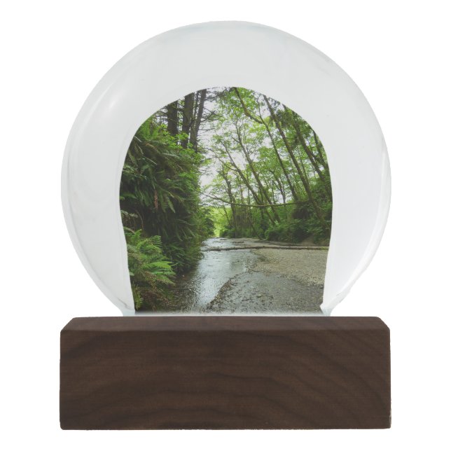 Fern Canyon II im Redwood-Nationalpark Schneekugel (Vorderseite)