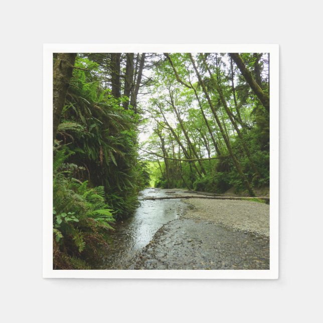 Fern Canyon II im Redwood-Nationalpark Serviette (Vorderseite)