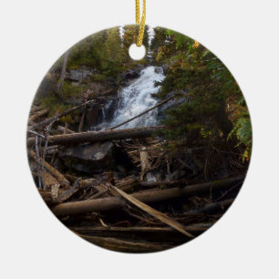 Fern Falls at Rocky Mountain National Park Keramik Ornament