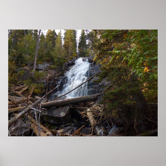 Fern Falls at Rocky Mountain National Park Poster (Vorne)