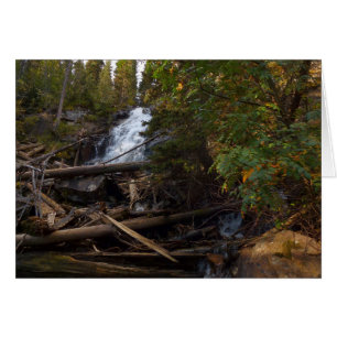 Fern Falls im Rocky Mountain National Park