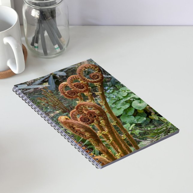 Fern Fiddleheads Botanical Notizblock (In Situ)
