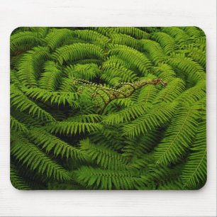 Fern Fine Art Fotograf Mousepad