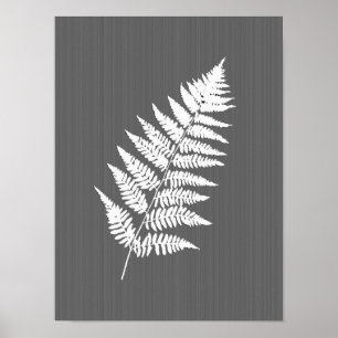 Fern Frond, weiß auf Holzkohle grau / grau Poster