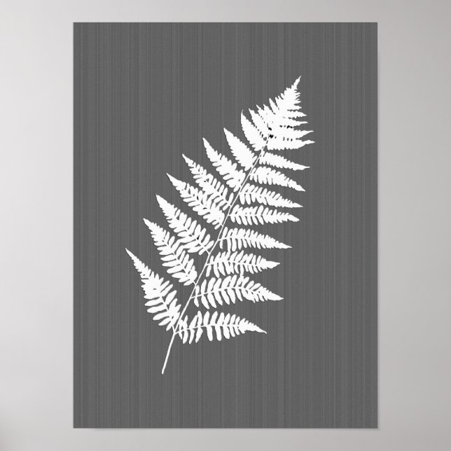 Fern Frond, weiß auf Holzkohle grau / grau Poster (Vorne)