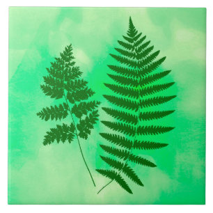 Fern Fronds, grün auf Aquarellboden Fliese