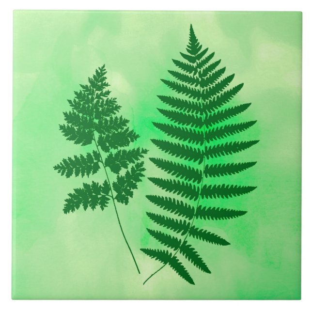 Fern Fronds, grün auf Aquarellboden Fliese (Vorderseite)