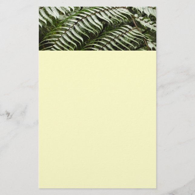 Fern Fronds II Dunkle grüne Natur Briefpapier (Vorderseite)