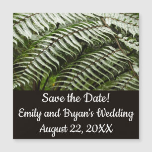 Fern Fronds II Dunkle grüne Natur Magnetkarte