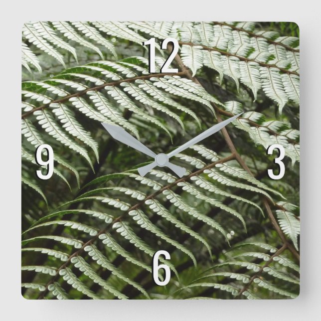 Fern Fronds II Dunkle grüne Natur Quadratische Wanduhr (Vorderseite)