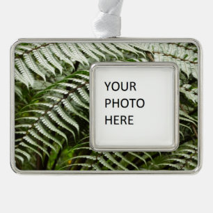 Fern Fronds II Dunkle grüne Natur Rahmen-Ornament Silber