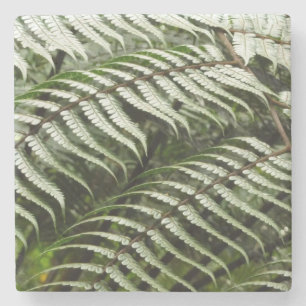 Fern Fronds II Dunkle grüne Natur Steinuntersetzer